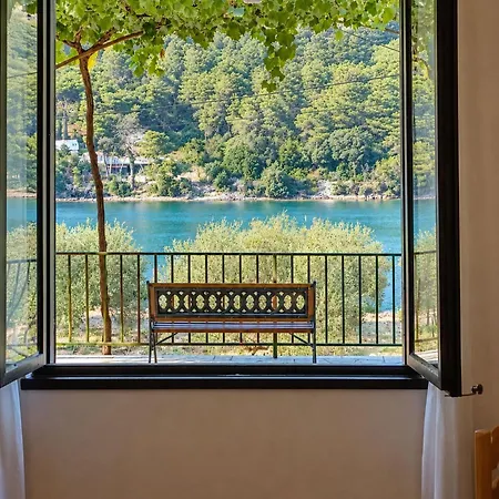 Marin Apartment